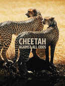 Cheetahs: Against All Odds Poster 5