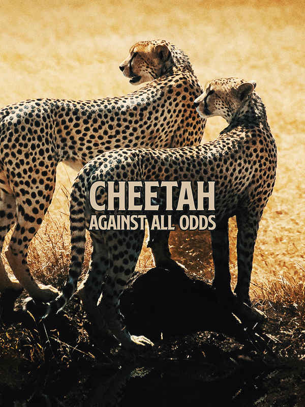 Cheetahs: Against All Odds Poster 5