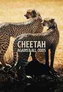 Cheetahs: Against All Odds Poster 6