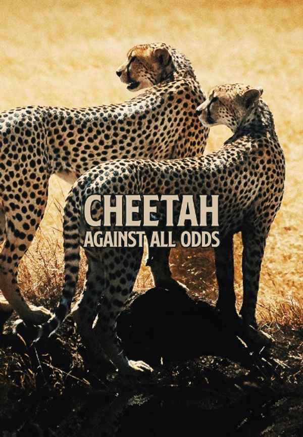 Cheetahs: Against All Odds Poster 6