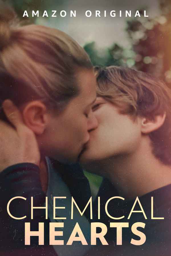 Chemical Hearts Poster 5