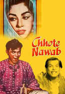 Chhote Nawab Poster 7