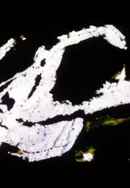 Chinese Series Poster 6