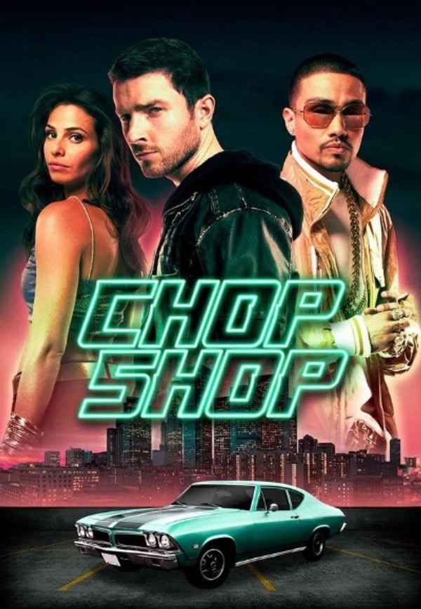 Chop Shop Poster 3