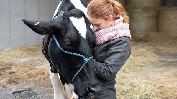 Christmas a la Mode Poster 6