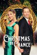 Christmas by Chance Poster 4