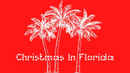 Christmas In Florida Poster 3