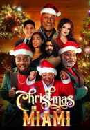 Christmas in Miami Poster 7