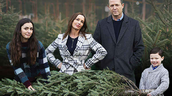 Christmas vs. The Walters Poster 4