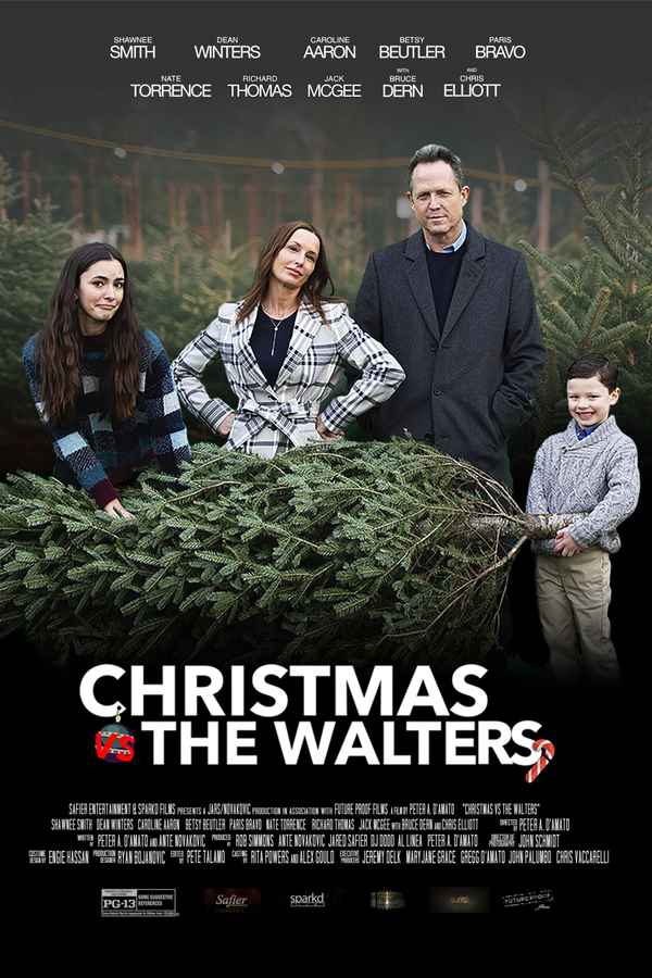 Christmas vs. The Walters Poster 2