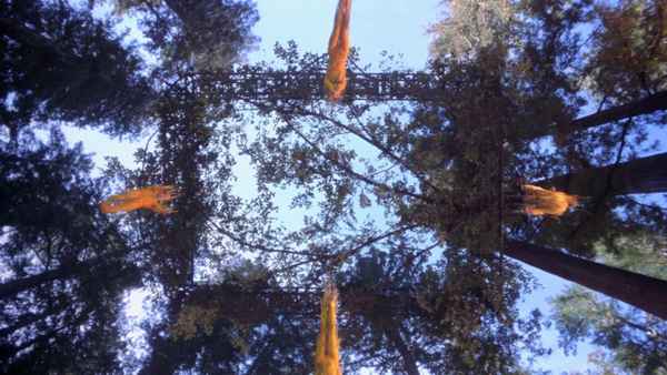 Cirque du Soleil: Journey of Man Poster 3