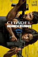 Citadel: Honey Bunny Web Series (सिटाडेल हनी बनी वेब सीरीज) Poster 7