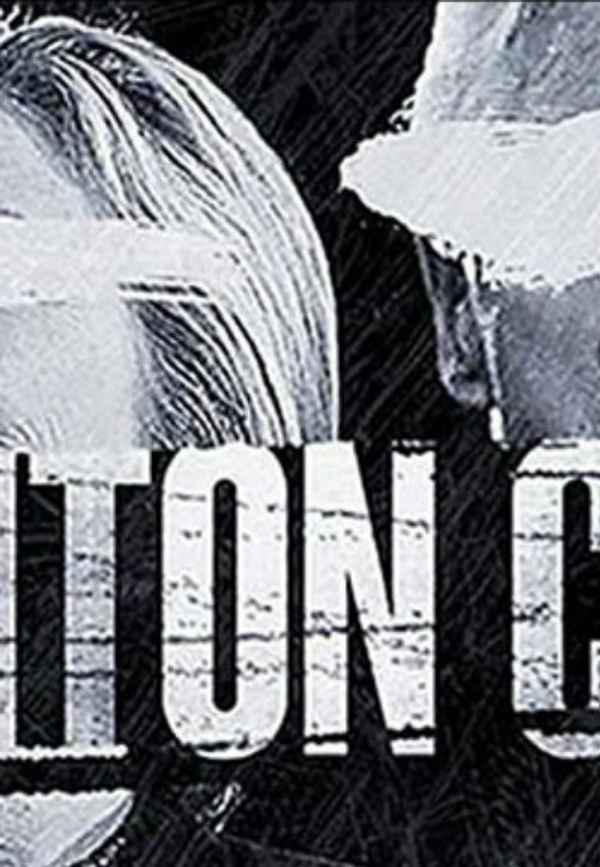 Clinton Cash Poster 4