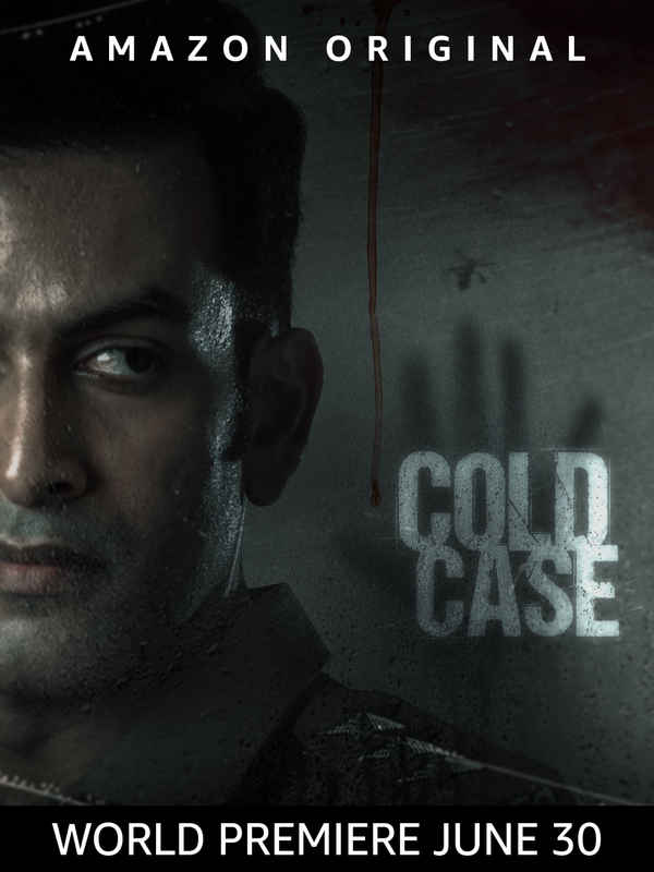 Cold Case Poster 5
