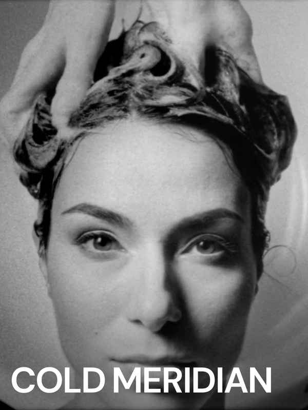 Cold Meridian Poster 4