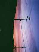 Cold Wind Blowing Poster 2