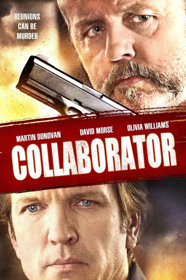 Collaborator Poster 1