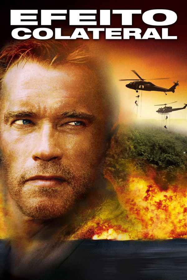 Collateral Damage Poster 3