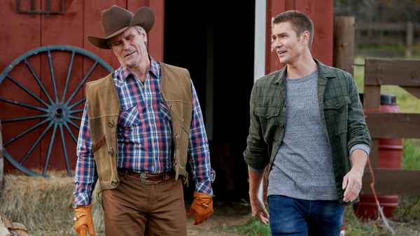 Colors of Love Poster 6