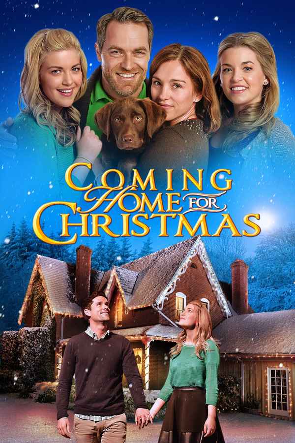 Coming Home for Christmas Poster 6