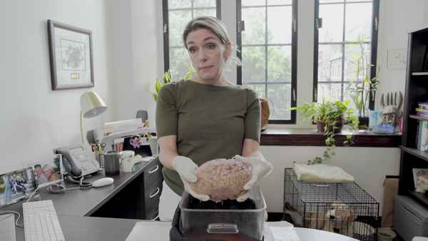 Confessions of a Good Samaritan Poster 4