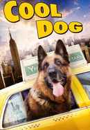 Cool Dog Poster 5