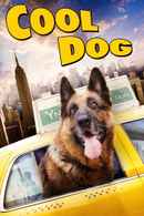 Cool Dog Poster 2