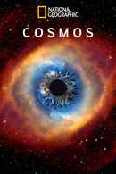 Cosmos Poster 7