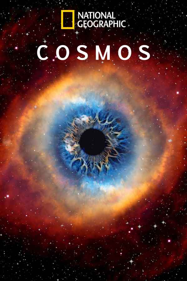 Cosmos Poster 7