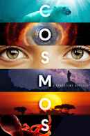 Cosmos Poster 6