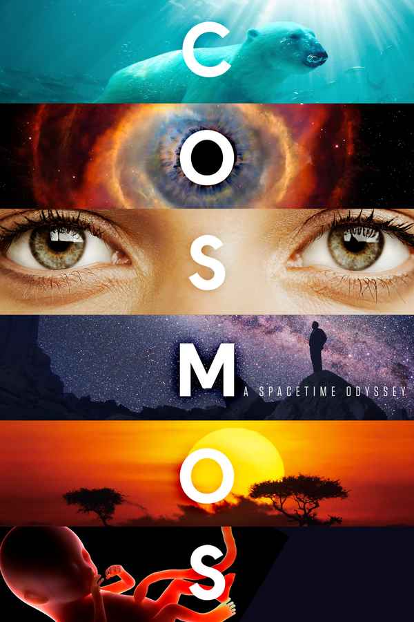 Cosmos Poster 6