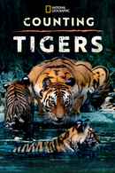 Counting Tigers Poster 3