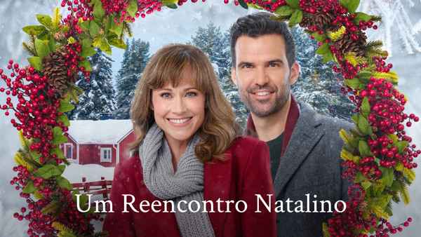 Cranberry Christmas Poster 4