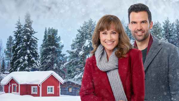 Cranberry Christmas Poster 3