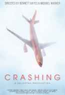 Crashing Poster 2