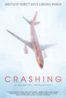 Crashing Poster 1