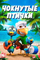 Crazy Birds Poster 4