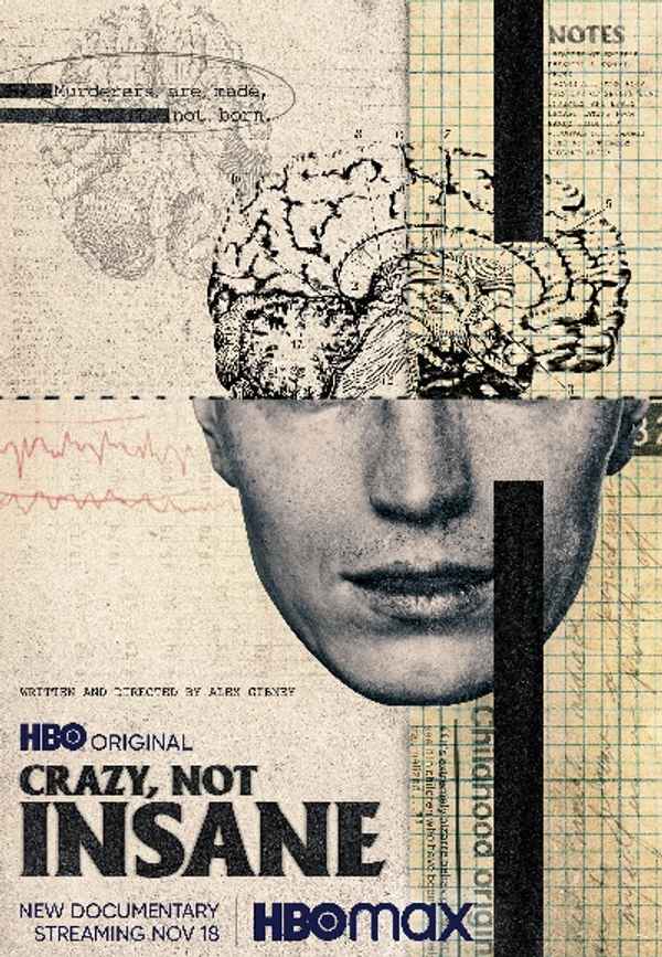 Crazy, Not Insane Poster 6