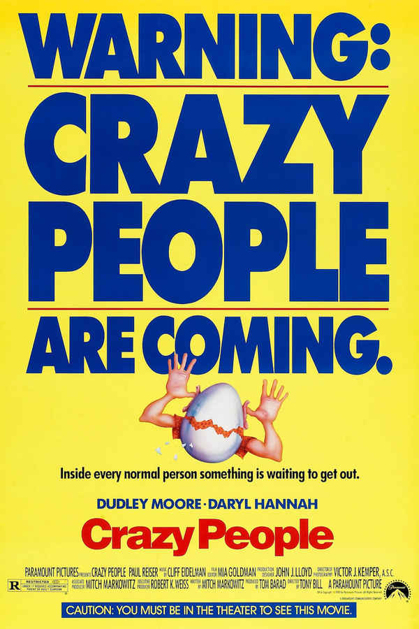 Crazy people Poster 7