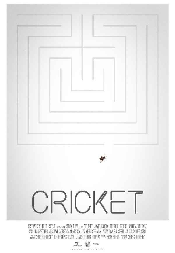 Cricket Poster 2