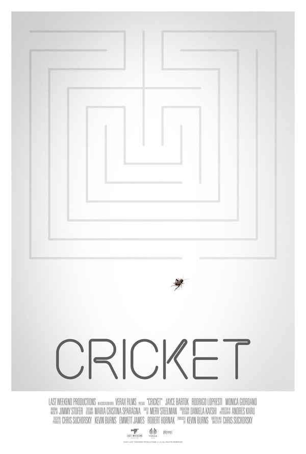 Cricket Poster 1