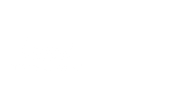 Crikey! It's The Irwins Poster 4