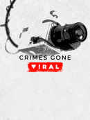 Crimes Gone Viral Poster 7