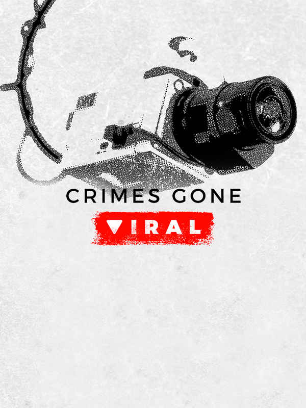 Crimes Gone Viral Poster 7