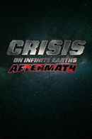 Crisis Aftermath Poster 4