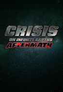 Crisis Aftermath Poster 5