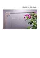 Crossing the road Poster 2