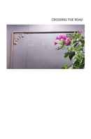 Crossing the road Poster 1