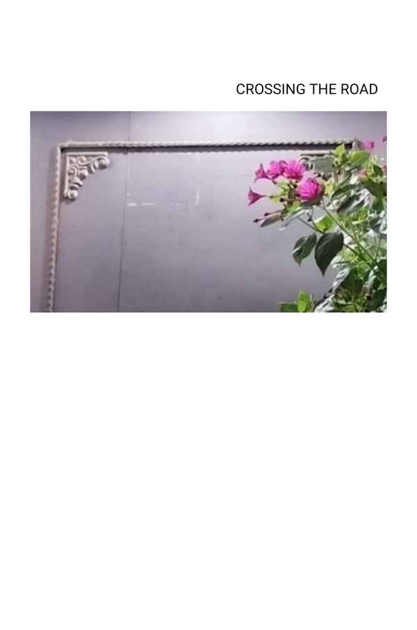 Crossing the road Poster 1