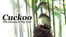 Cuckoo - The Enemy In My Nest Poster 1